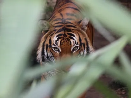 Transforming Anger Into A Healthy & Powerful Ally