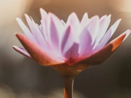 Transforming Anger Into Personal Power Meditation