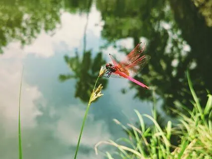 Transforming Anxiety: A Reflective Meditation For Anxiety