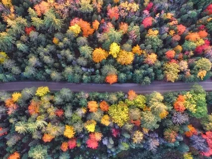 Transforming Beliefs