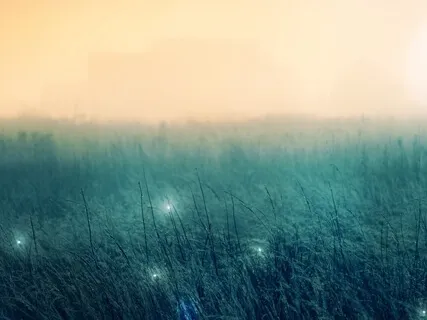 Transforming Creative Trauma