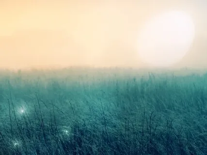 Transforming Doubt & Fear With Trust