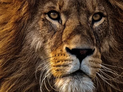 Transforming Fear At Such A Time As This - Invictus