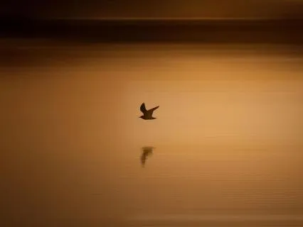 Transforming Fear Into Calm