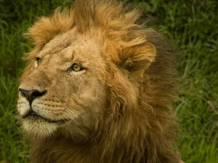 Transforming Fear Into Courage