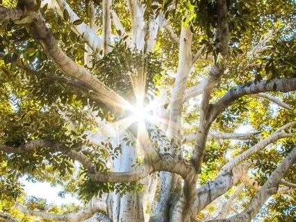 Transforming Fear Into Love