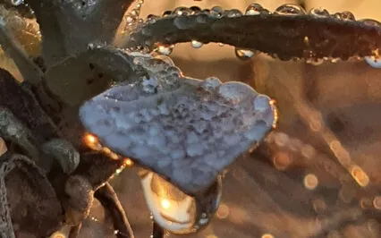 Transforming From Deep Within