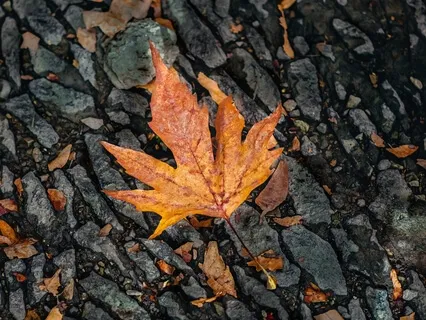 Transforming Grief - Weekly Energy Boost