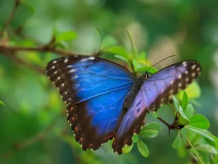 Transforming Our Bodies With Compassion