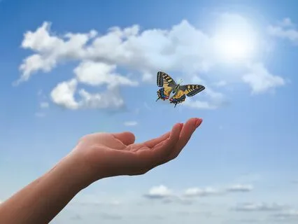 Transforming Pain And Discomfort