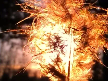 Transforming Pain Into Purpose