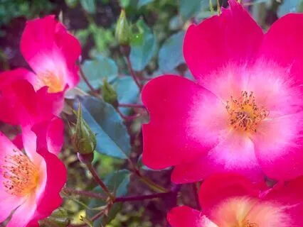 Transforming Pain Into Self-Love