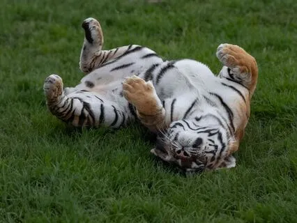 Transforming Rage Into Power