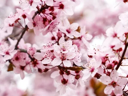 Transforming Sadness Meditation