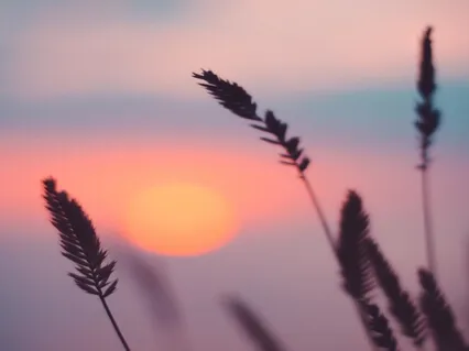 Transforming Stress In Your Body