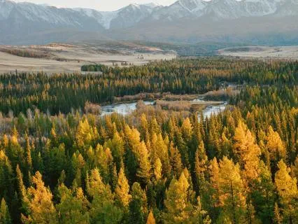 Transforming Struggle Into Peace