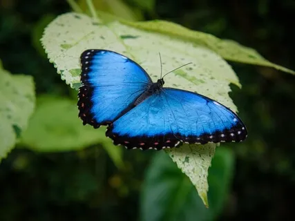 Transforming The Anxiety Of Uncertainty