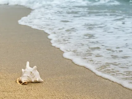 Transforming The Inner Critic Meditation