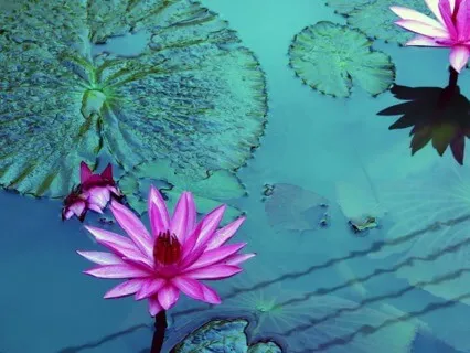 Transforming The Past With Angel Pidiel