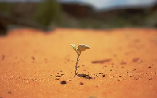 Transforming Weakness Into Strength - Weekly Energy Boost