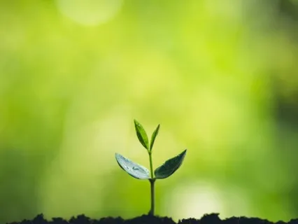 Transforming Your Anxiety