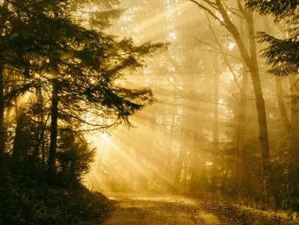 Transforming Your Inner Critic So You Can Create More