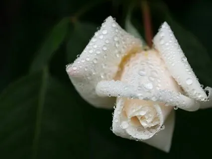 Transforming Your Relationship With Grief