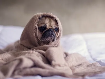 Transgender Self Love Affirmations