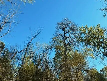 Transition Into Soft Wakefulness - (With Gentle Waves)