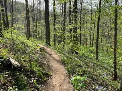 Transitional Moments