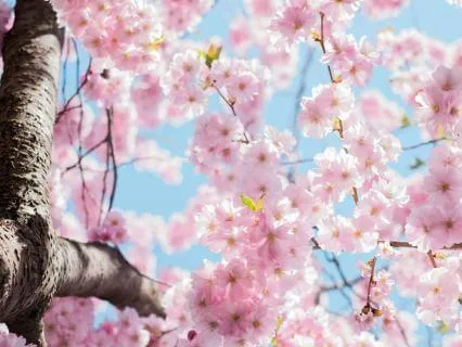 Transitioning From Winter To Spring