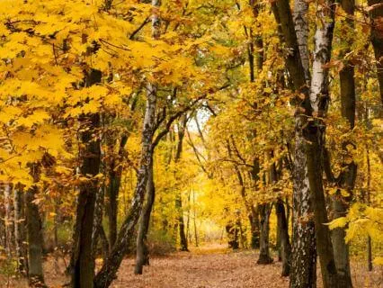 Transitioning Into Fall, A Moment For Reflection