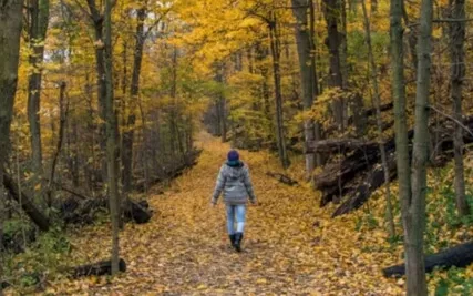 Transitioning Through Stages Of Life Clutter-Free