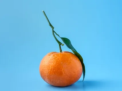 Transitioning To A Plant-Based Diet