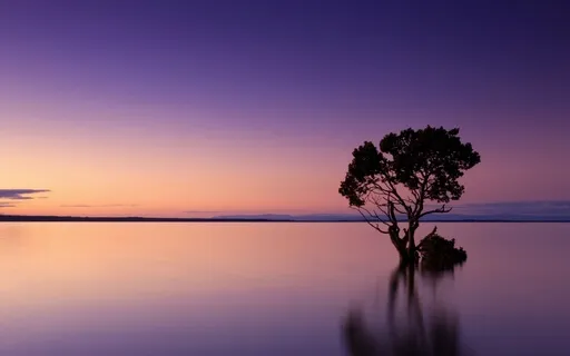 Transitioning To Regeneration