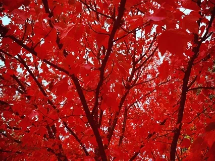 Transitions - Responding With Prayer