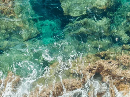 Translucent Pt.1: The Magic Lagoon