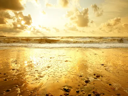 Translucent Veils Of Gold