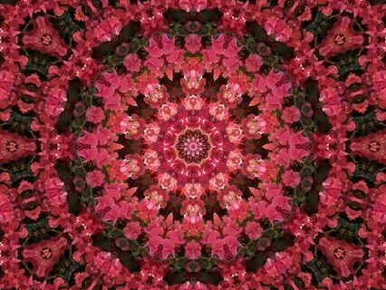 Transmission: Sonic Journey