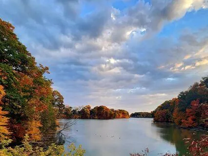 Transmission To Heal The World