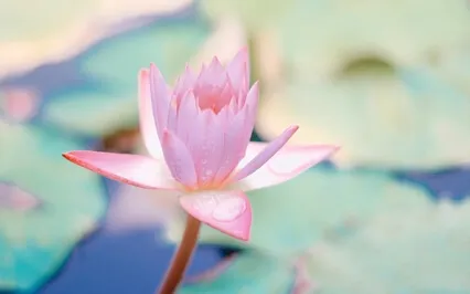 Transmutation Meditation