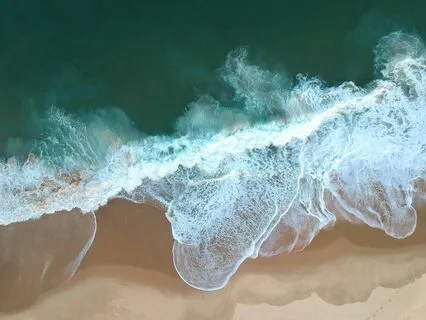 Transmute Anxiety Now