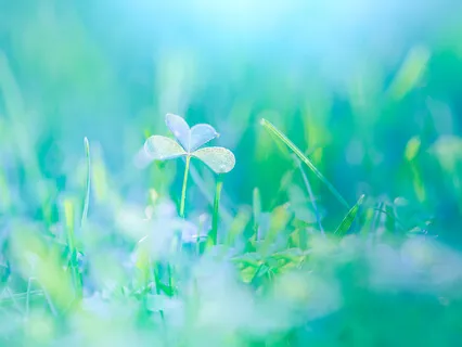 Transmute Fear Into Courage With Light Language