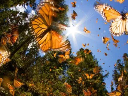 Transmute Negative Energy Into Positive Vibes (Tuning Forks)