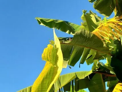 Transmute Negativity & Embrace Your Inner Light