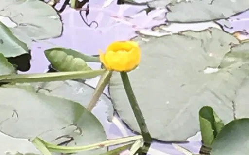 Transmuting Fear Into Love (Live: Replay No. 6)