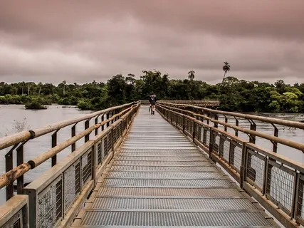 Transmuting Life Through Love