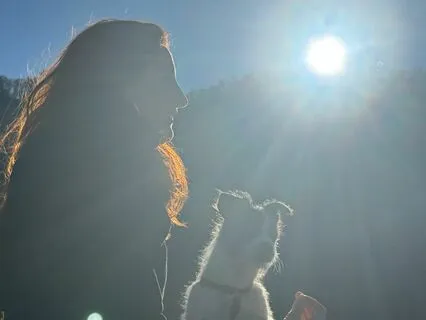 Transmuting Old Emotions, To Shift In Your Highest Timeline