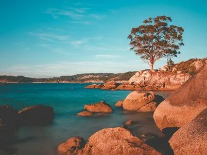 Transmuting Overwhelm And Difficult Emotions