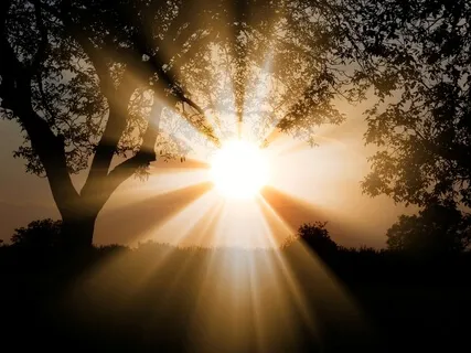 Transmuting Shame In The Body